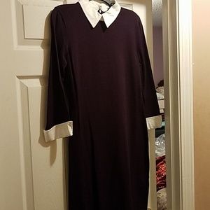 Knit Dress with White Collar